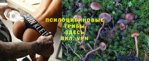 мяу мяу мука Беломорск