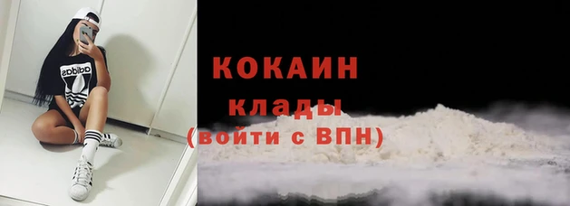 СК Белокуриха