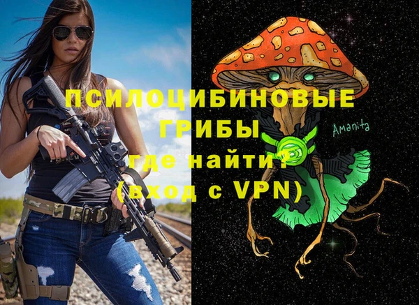 МДПВ Богородск