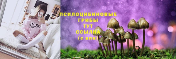 МДПВ Богородск
