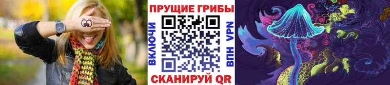 Псилоцибиновые грибы MAGIC MUSHROOMS  hydra ссылка  Кстово  наркота 